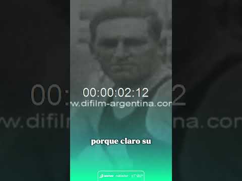 🦈🌊 ¡El increíble tiburón del Quillá!