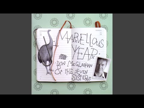 Marvellous Year - Don McGlashan