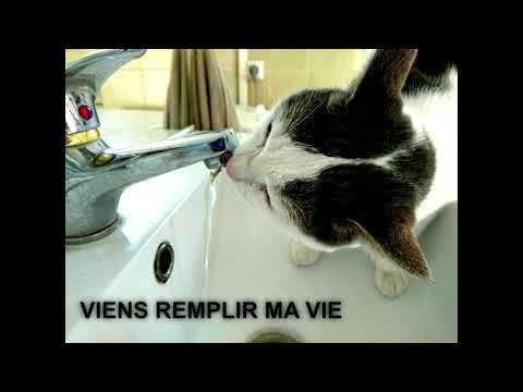 VIENS REMPLIR MA VIE