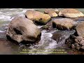 Action Of Rivers