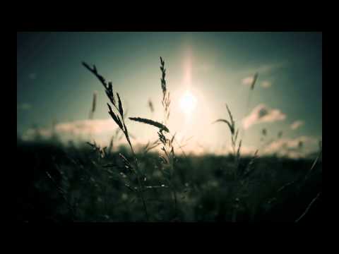 Alexander Xendzov feat Claire Willis - Follow The Sun (Sergey Shabanov Remix)