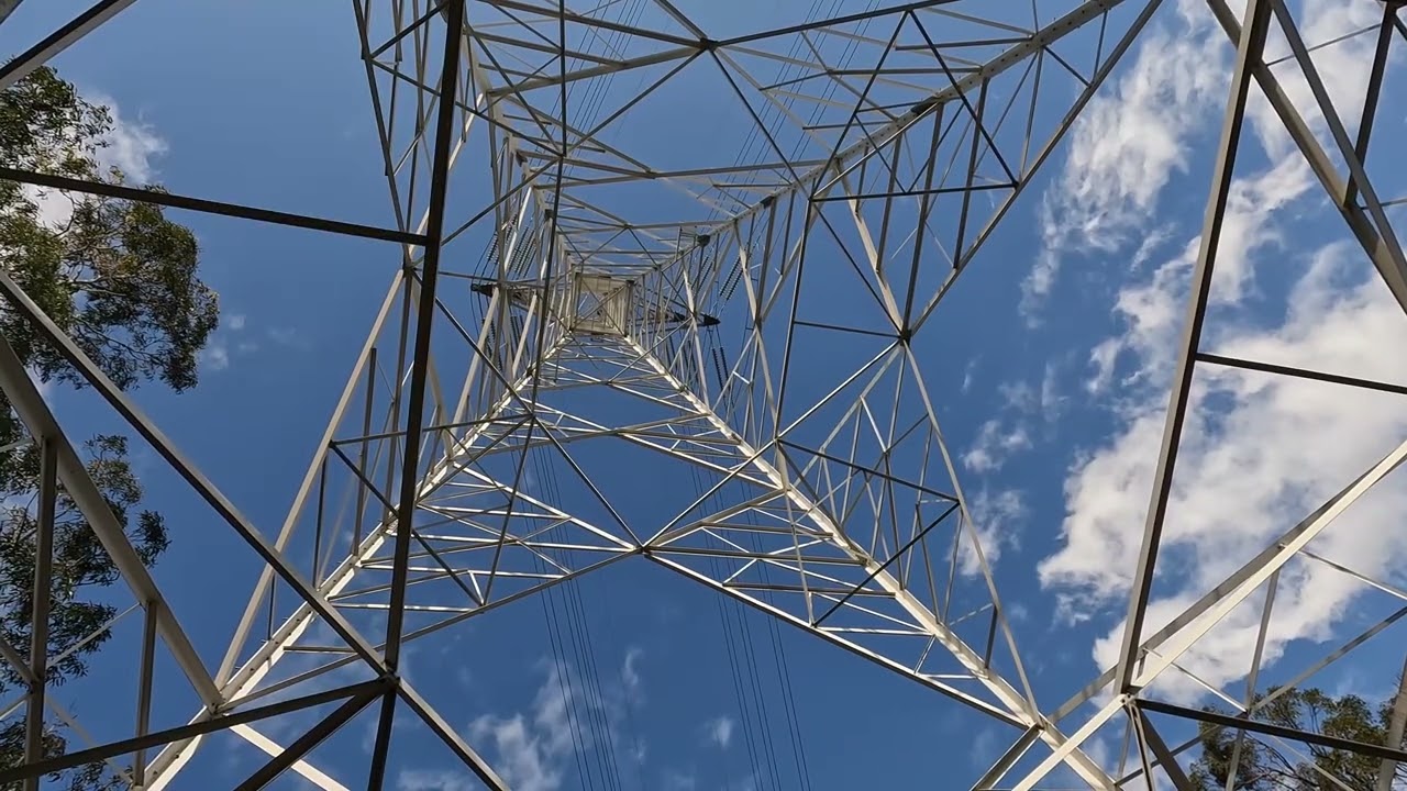 Experience a virtual stroll across Nerang National Park.