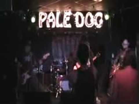 American Speedway Cocaine Pale Dog