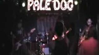 American Speedway Cocaine Pale Dog