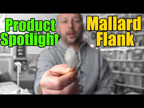 Fly Tying Product Spotlight - Mallard Flank