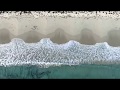 Ocean Kiss