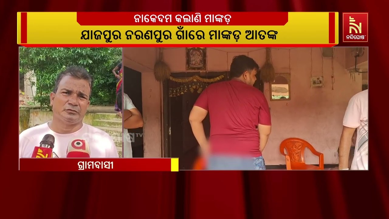 ଯାଜପୁର ଜିଲ୍ଲା ବିଞ୍ଝାରପୁର ବ୍ଲକ ନରଣପୁର ଗାଁରେ ମାଙ୍କଡ଼ ?