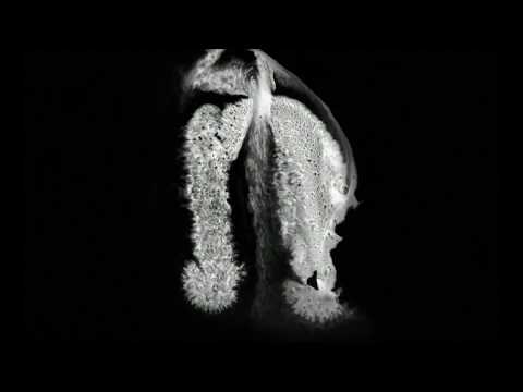 Todo En La Calle (Bungalo Dub vs Nedman Guerrero)