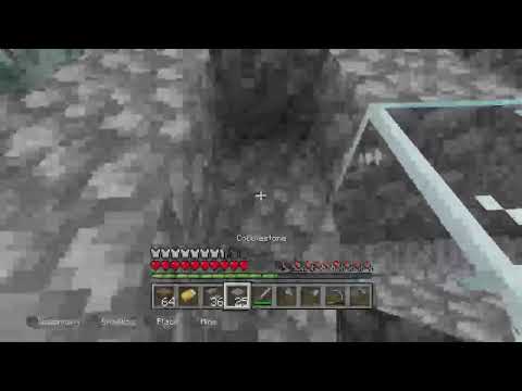 Minecraft chill live between best friends PART 1