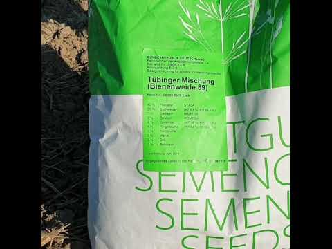 Bienenweide am Huberhof önsbach