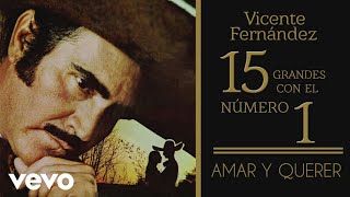 Vicente Fernández - Amar y Querer (Tema Remasterizado) [Cover Audio]