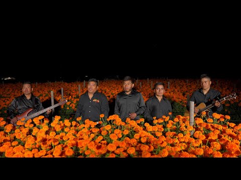 GRUPO LINCE DE LA SIERRA,DE SANTA CRUZ YUCUCANI GRO. TEMA:TE NIXIKAUN ÑA YUVI YO'O.