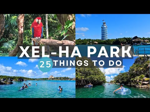 25 Things to Do in Xel-Ha Park, Mexico - Attractions You Can't Miss