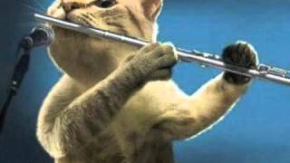 Flute Note - If You Leave Me Now