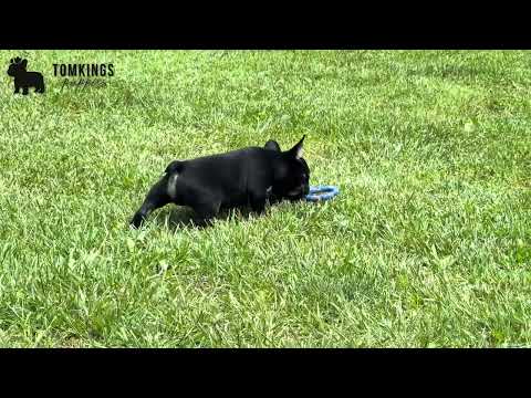 Video 1
