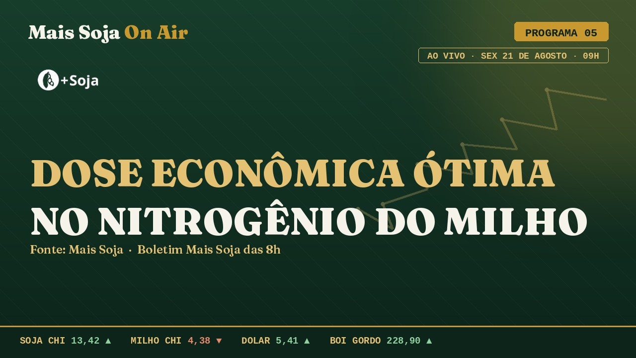 Avanço da colheita no MS| Mais Soja On Air