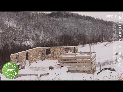 Sasvim prirodno: Po dubokom snegu, drugi deo (Jovan Memedović)