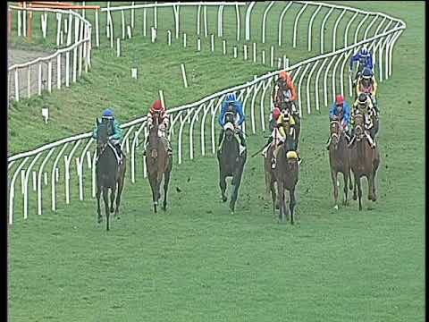 Galoppo 03/02/2018 - 3ª corsa