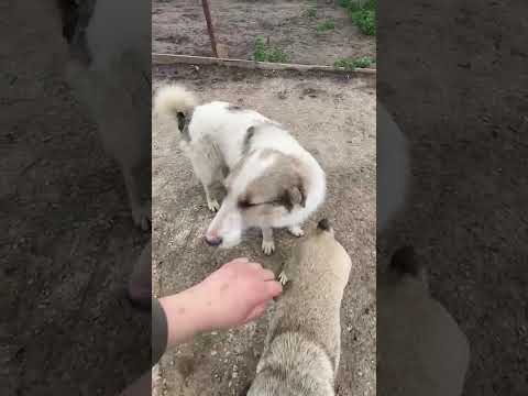 Cosmin 1 05/2025 - Hope for Future e.V.