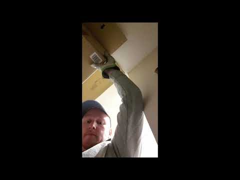 YouTube video about: How much does it cost to remove birds from attic?
