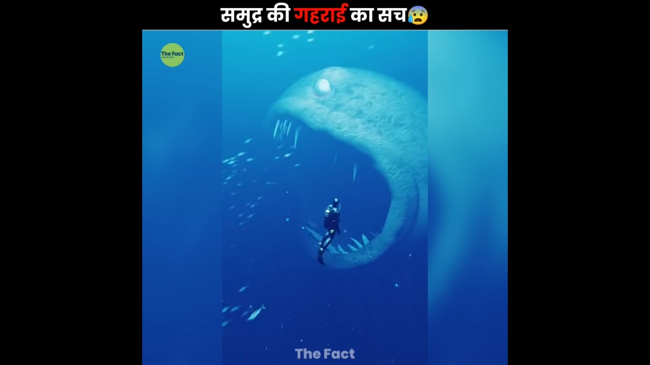 How Deep Is the Ocean Really? 😨