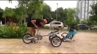 From Pram to Bicycle