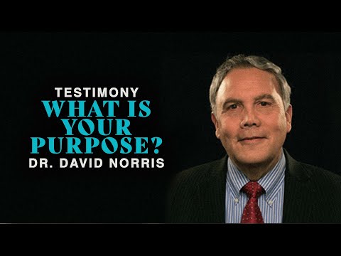 Witness21 Editor  2022 08 11