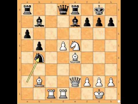 Umetnost matiranja - NAJDORF vs NN -  Damin gambit # 426