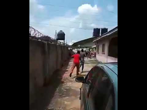 An Edo man returns from Europe after 13 years only to discover his sister has duped him