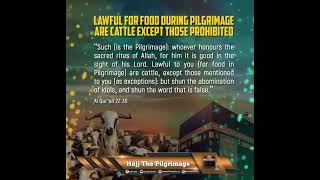 Lawful For Food During Pilgrimage Are Cattle Except Those Prohibited