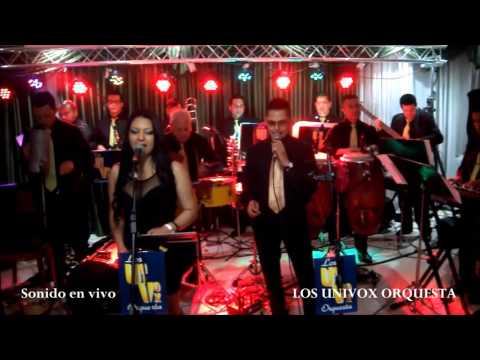 Orquesta Los Univox -  Mosaico Éxitos de los Univox