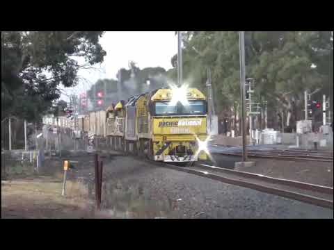 NR106 AN2 NR111 NR51 on 6MP5 in manor