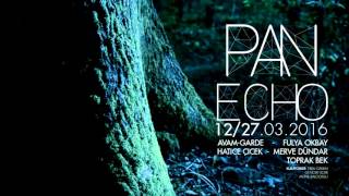 PAN ECHO 12/27 Mart