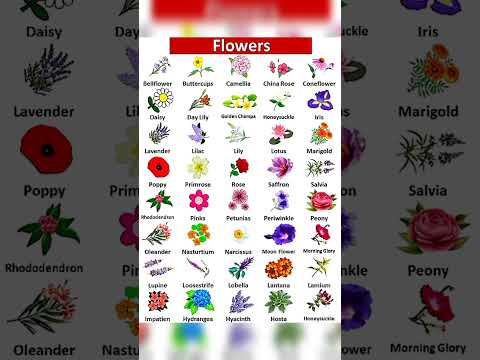 flower name's #flowers