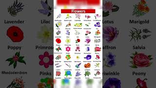 Download lagu flower name's #flowers mp3 Download lagu flower name's #flowers mp3