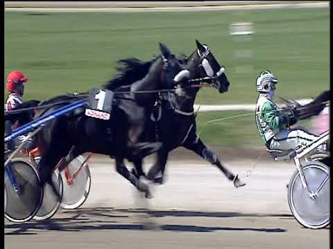 Trotto 17/05/2019 - 2ª corsa