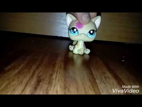 Internetowy lovesong❤❤❤