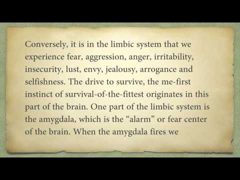 02 - Paul Godfrey - Time of Temptation