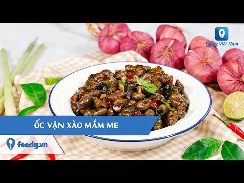 Hướng dẫn cách làm món ỐC VẶN XÀO MẮM ME | Feedy TV