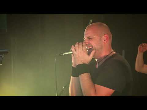 ROKERSI - Divlje jagode (cover)