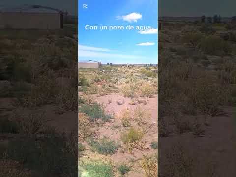 VENTA DE CAMPO INCULTO – EL CARRIZAL, LUJÁN DE CUYO