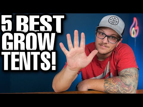 Top 5 Grow Tents On Amazon! Start Growing Indoors!