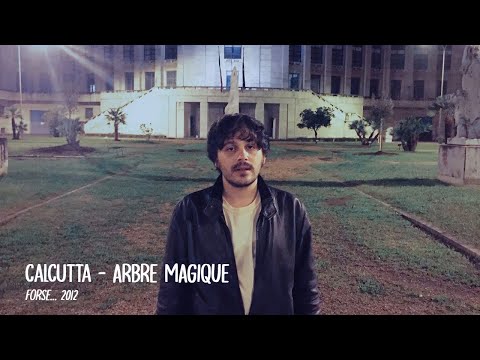 Calcutta - Arbre Magique