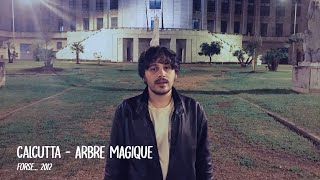Calcutta - Arbre Magique