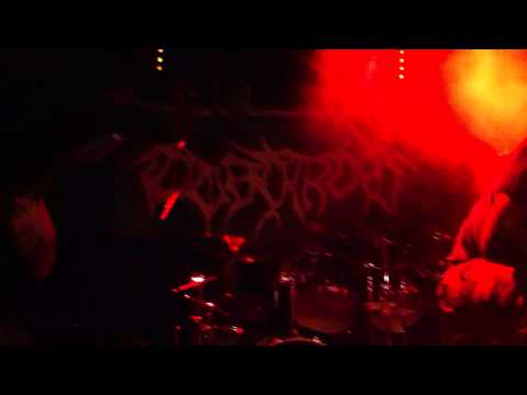 Tombthroat - Bleed for Me @ Houten Deathfest 2013