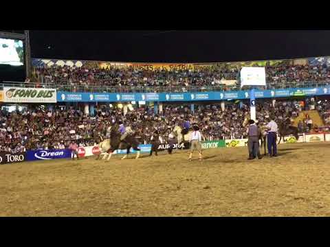 Una ovación para la monta más impresionante del Festival de Jesús María