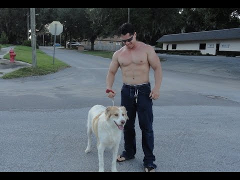 1,400 Push Ups in One Day - A Push Ups Documentary - Insane Push Ups