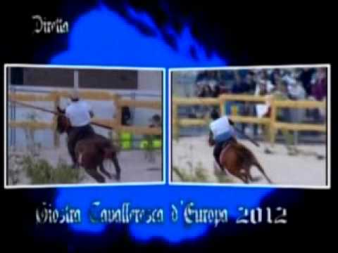 ONDA TG 11.01.2013 - GIOSTRA CAVALLERESCA DIMISSIONI DIRETTIVO