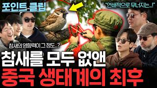 Download lagu 참새를 모두 잡아 없앤 중국 생태계에 벌어진 일 mp3