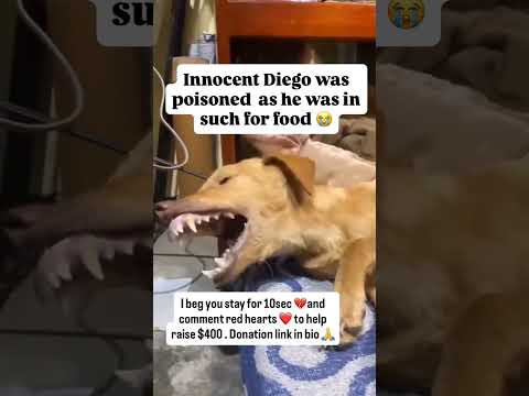 wandawhiteley9805 please link in bio to support #NYC#LosAngeles#Chicago#Texas#Florida#california